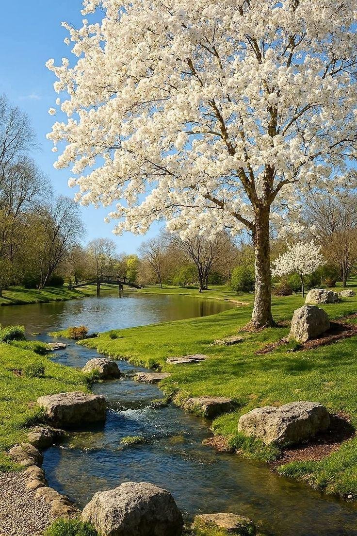 Aesthetics tweet media