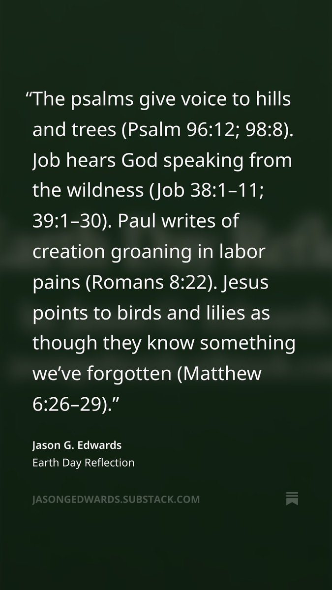 jasongedwards's tweet image. Read the whole reflection: open.substack.com/pub/jasongedwa… #earthday #flyfishing #rivers #faith #creationcare