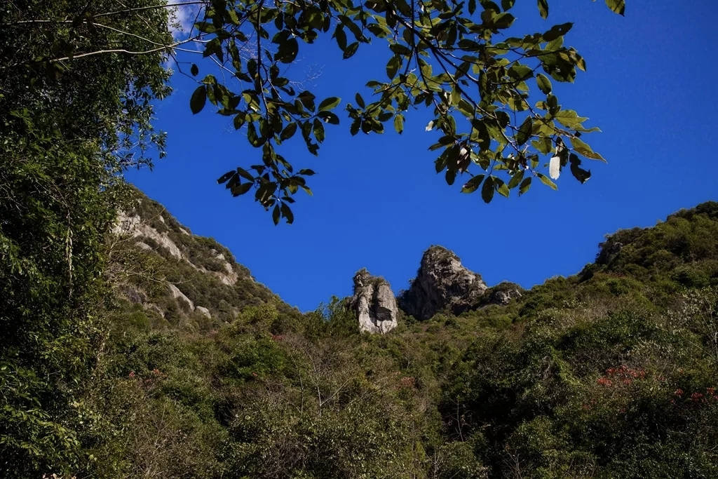 Temple79 tweet media