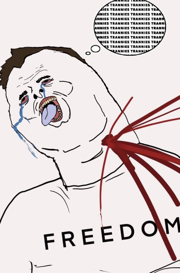 Furry Tim Allen tweet media