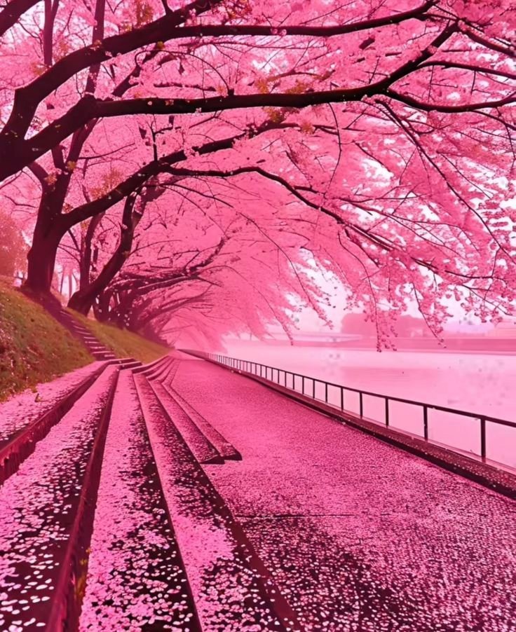 Aesthetics tweet media