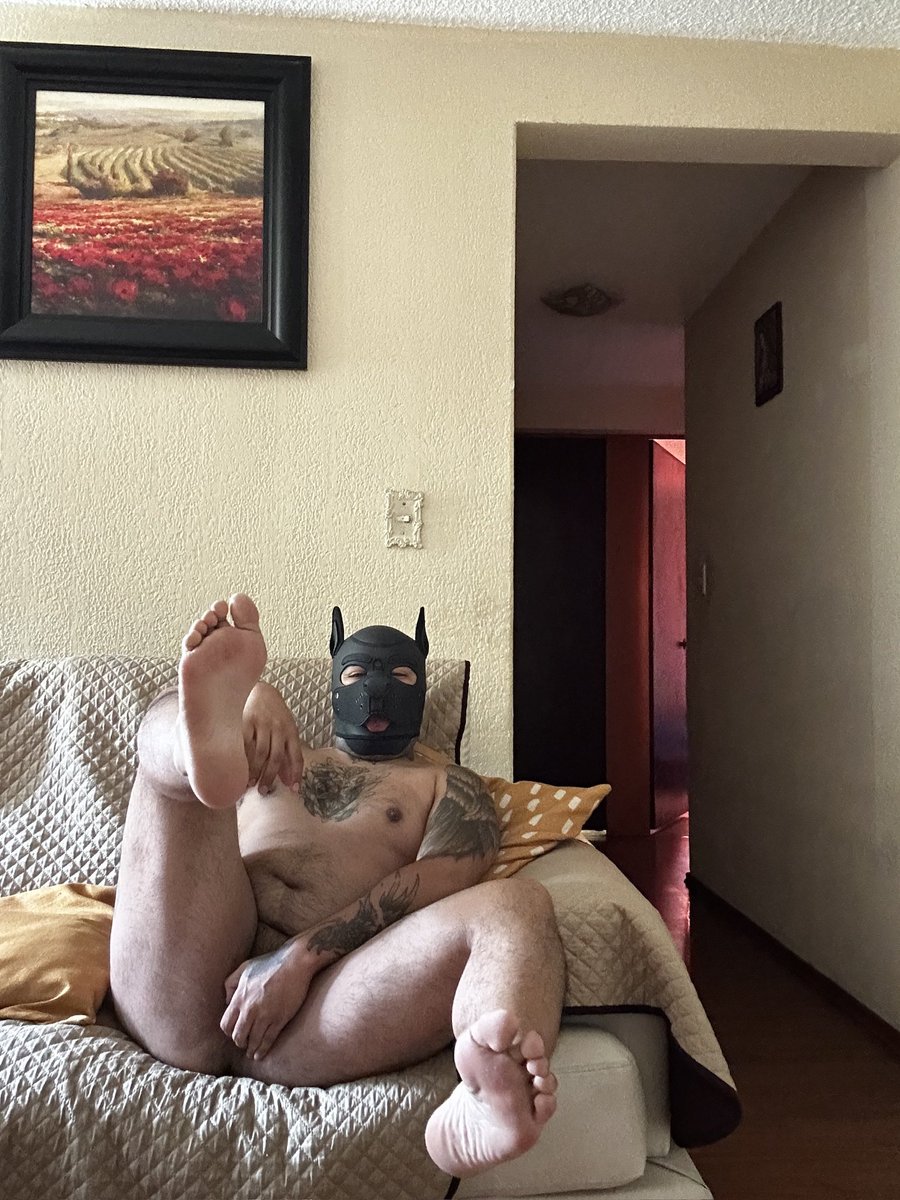 ErosPup tweet media