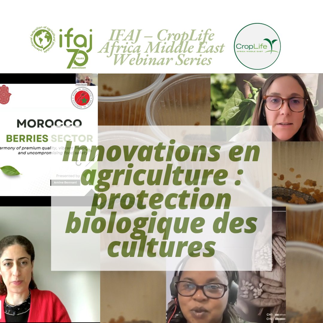 ifaj.org tweet media