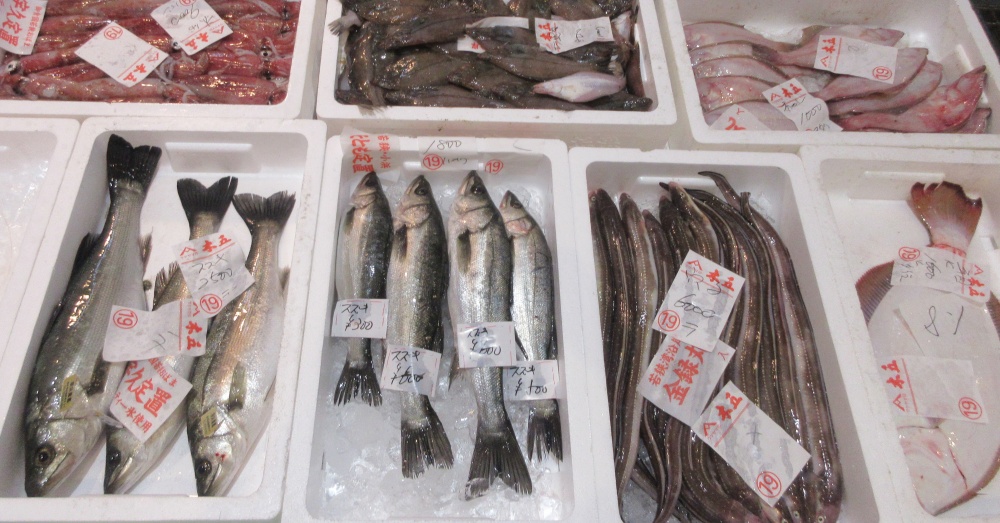 木五商店 tweet media