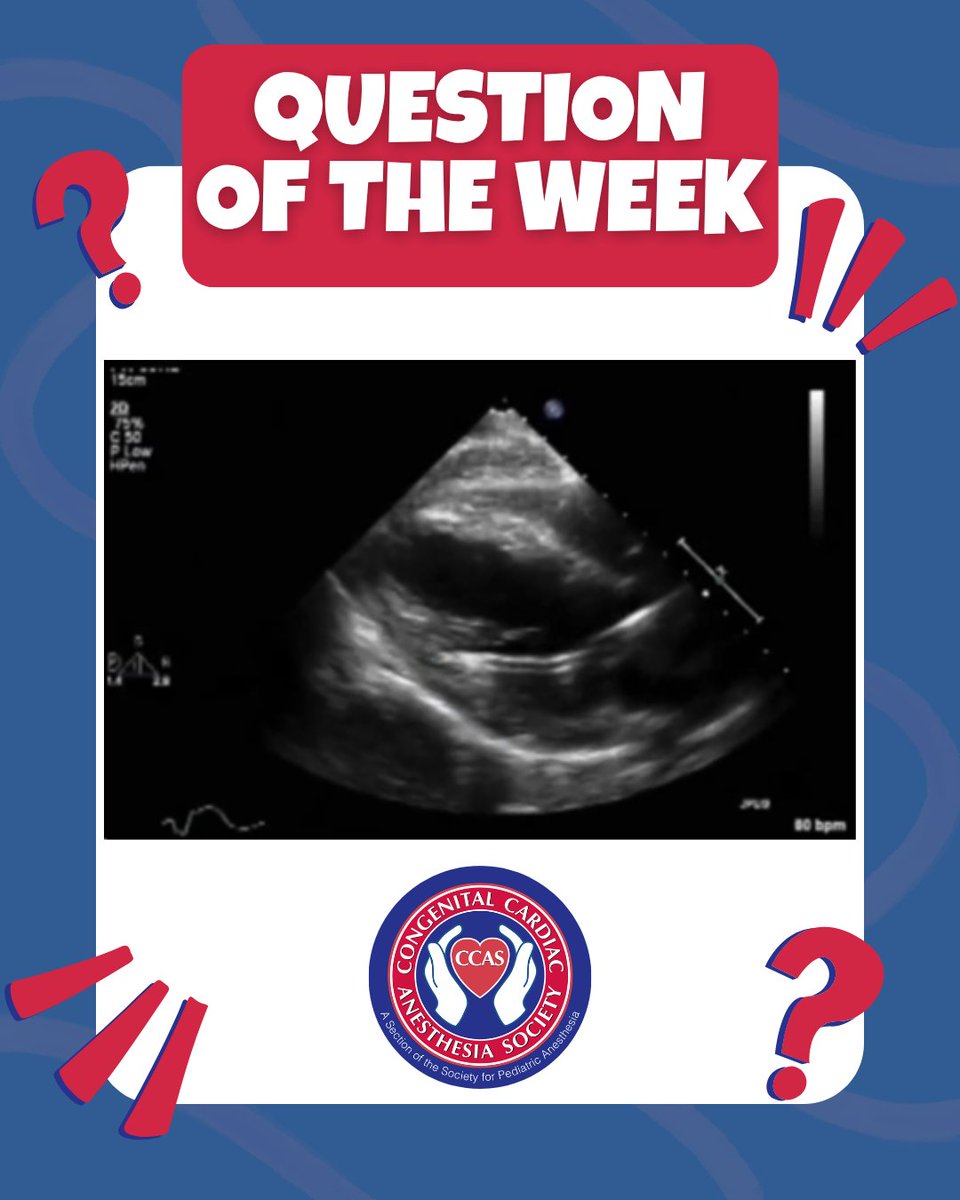 PedsCardiacAnes's tweet image. Test your knowledge with the Question of the Week 🚨
Head over to the CCAS site or share your answer with us in the comments ⤵️

ccasociety.org/question-of-th…

#CCAS #anesthesia #cardiac #pediatric #medicaleducation