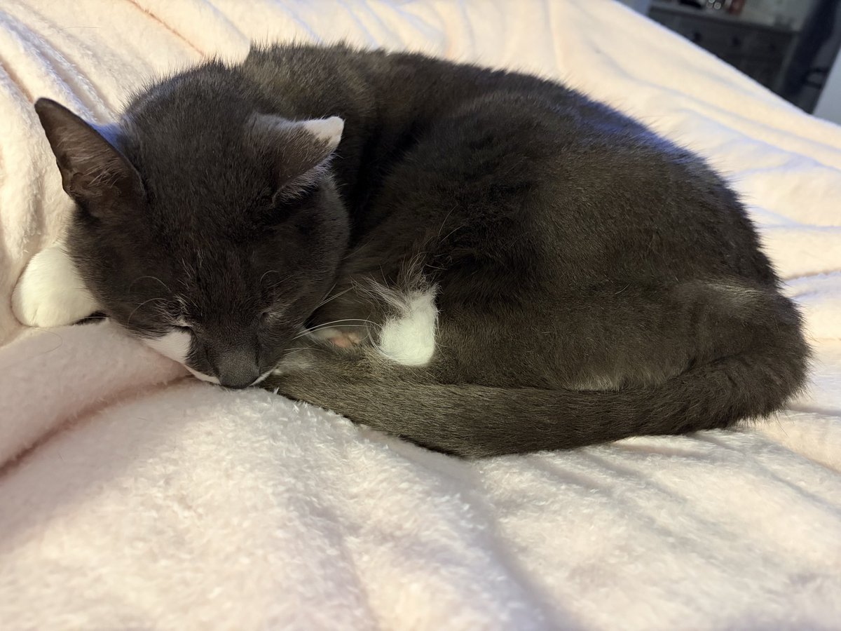 MRidgemerebro's tweet photo. Sleepy baby. https://t.co/1YFREoAXqS
