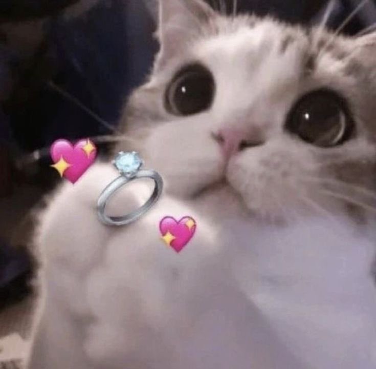 Xiaomei 🍃 ArthitDaotok tweet media