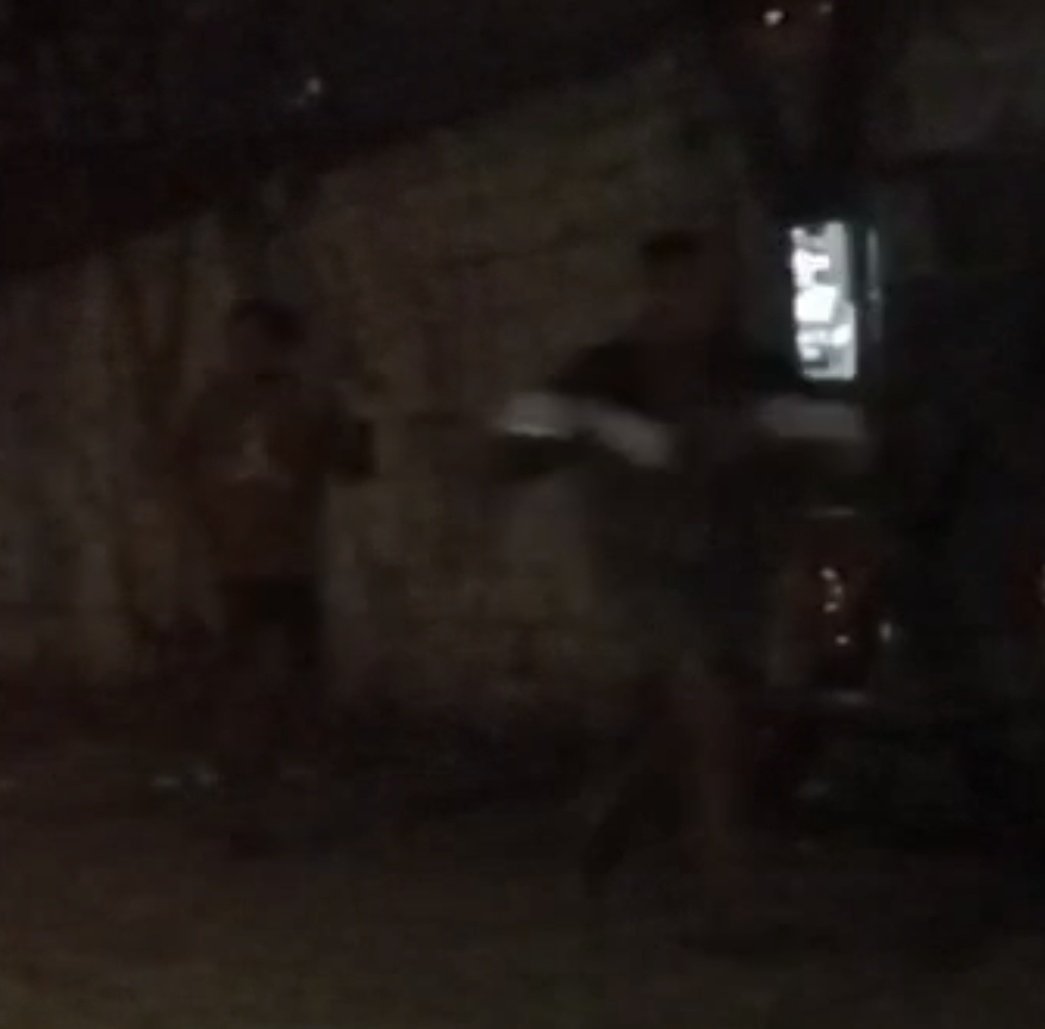 DMesquita tweet media