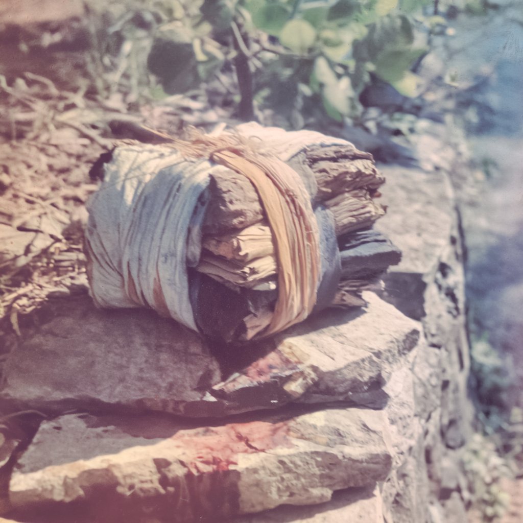 Midlibrary_io's tweet image. Vintage Sepia Realism 
🎞️ --sref 3772201820 

Nostalgic, muted photographic style with a warm sepia tone. Features soft focus, vintage 1930s aesthetics, and a quiet, historical cinematic atmosphere.