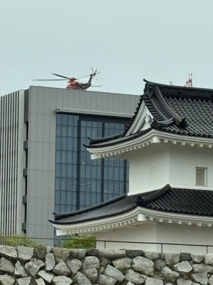 むーちゃん tweet media