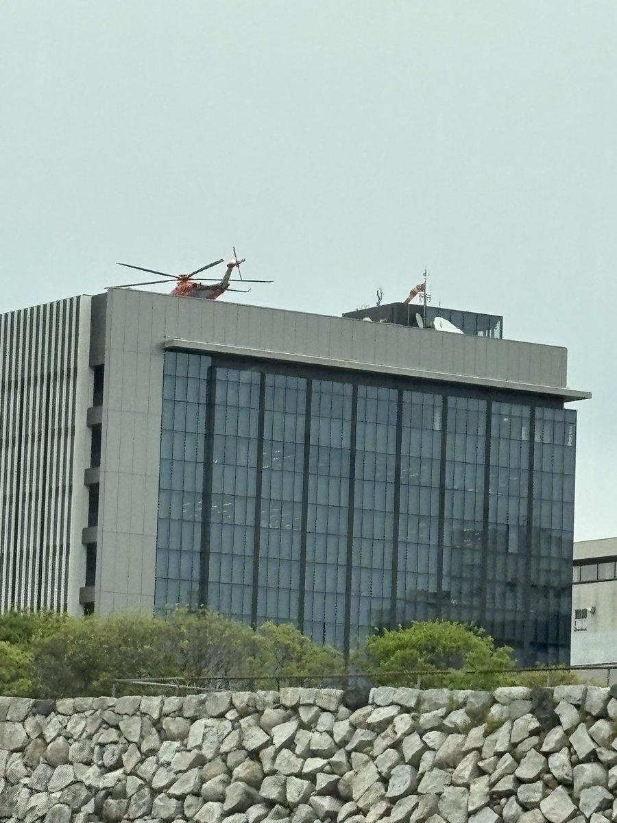 むーちゃん tweet media