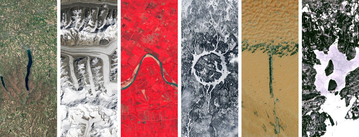 Hijiki_Foundation tweet media