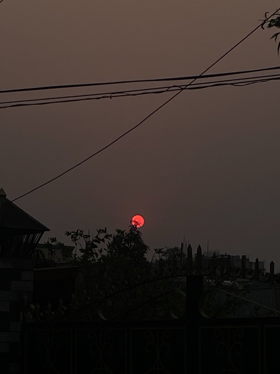 beeboo’s honeycomb muncher tweet media