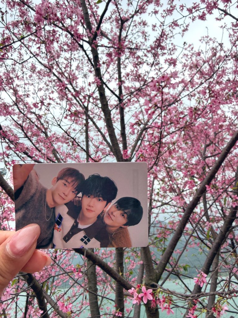 pimjungnae tweet media