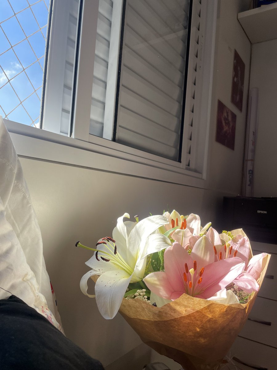 melis jurídico konan tweet media