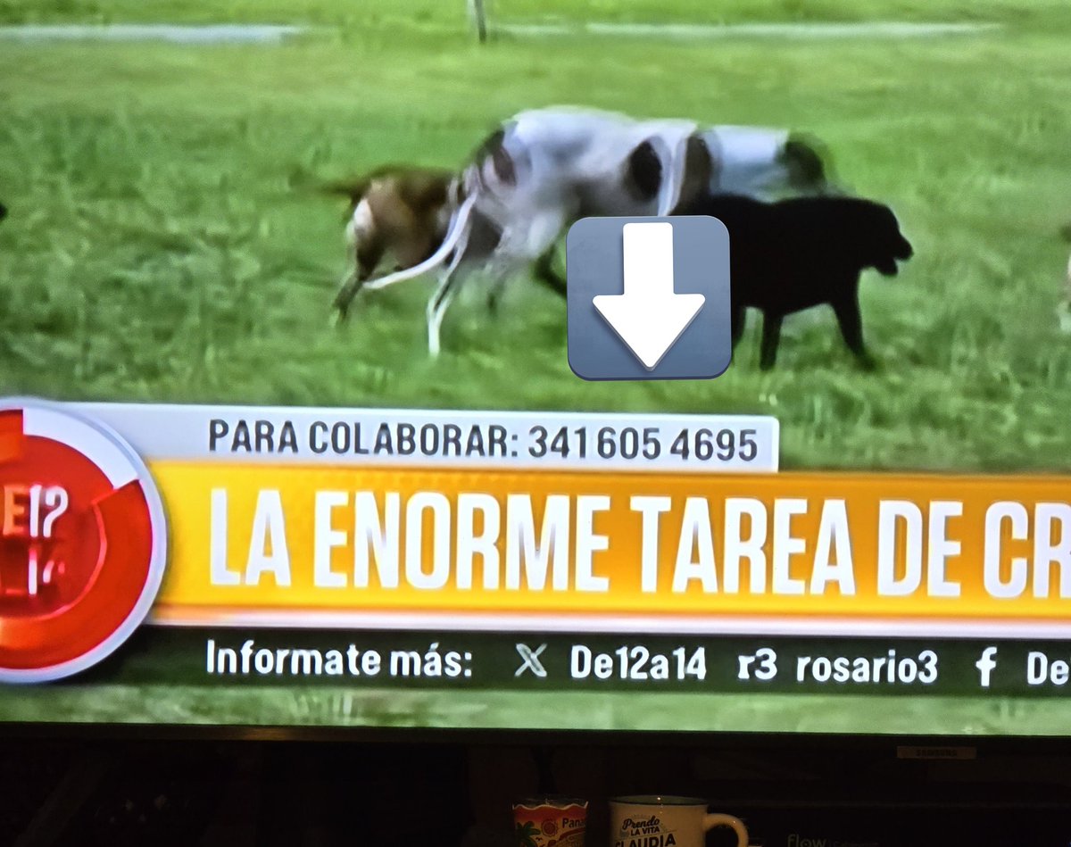 ÇlåµÐïå ®️©️ 💙💛 tweet media