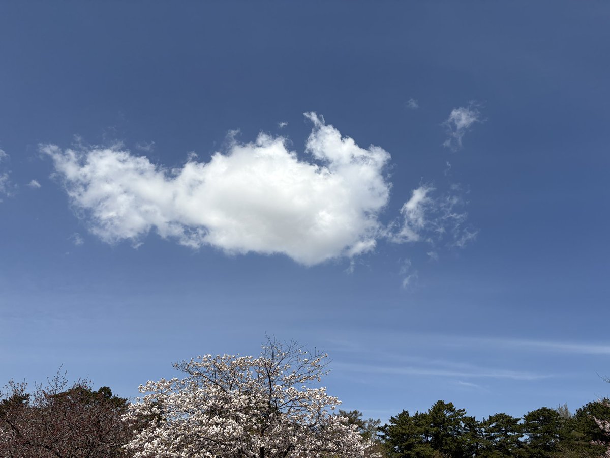 長尾 真紀子 tweet media