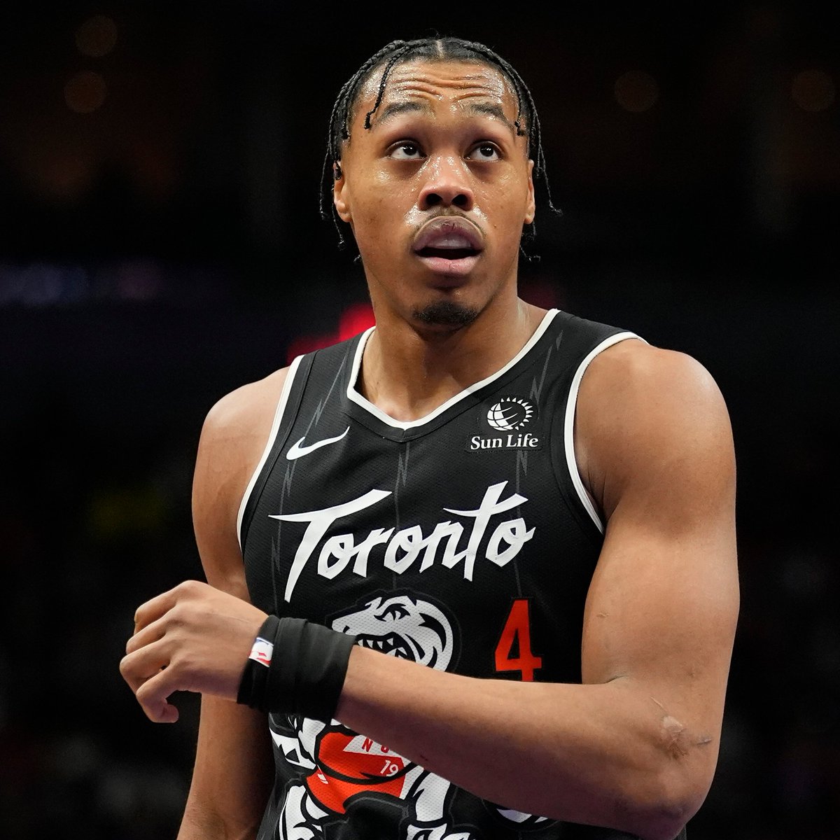 SleeperRaptors tweet media