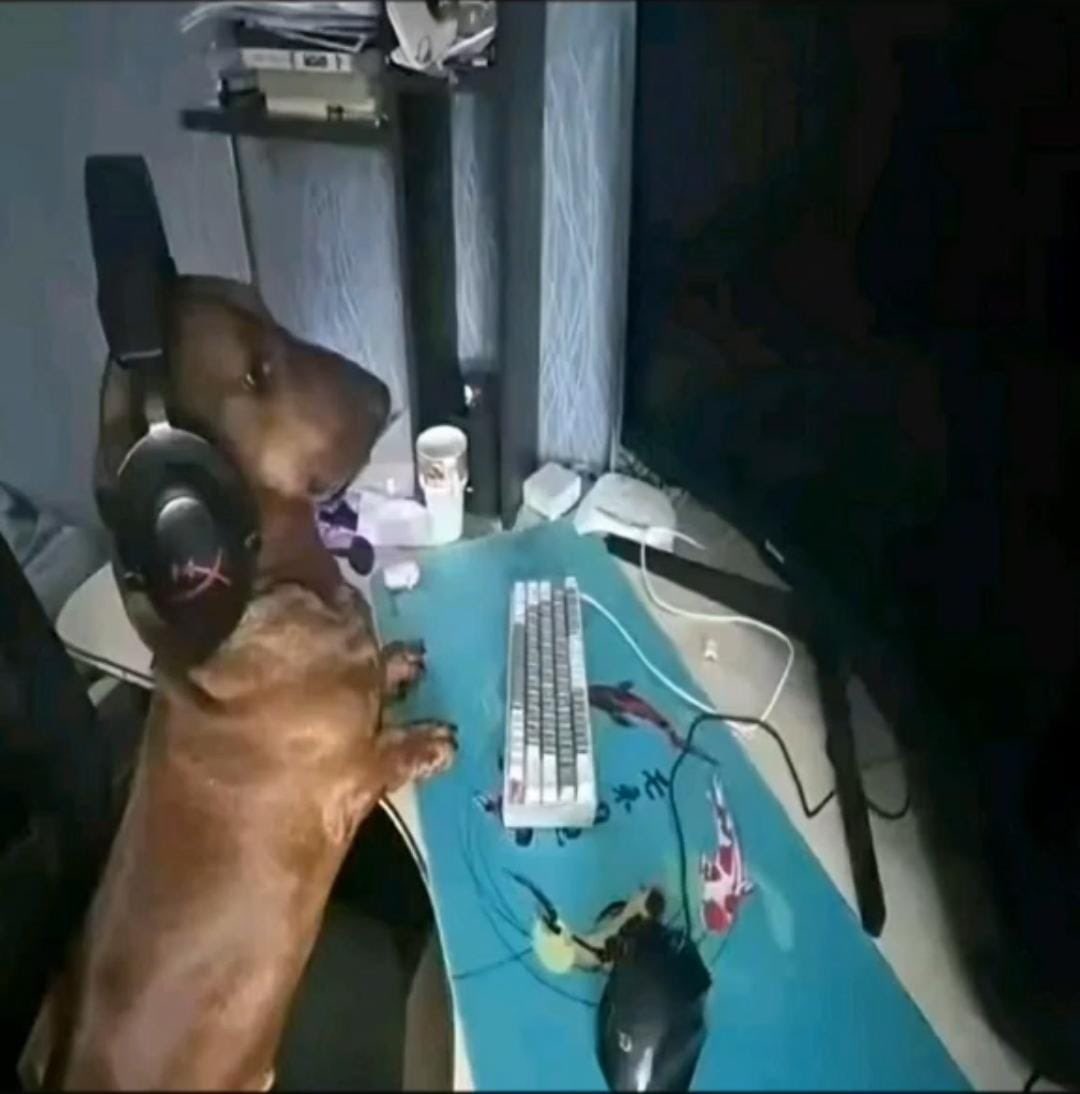 pretendbethomas's tweet photo. @ECVitoria vai pra cima leao pelo amor de deus.. https://t.co/hfl6O4kcDm
