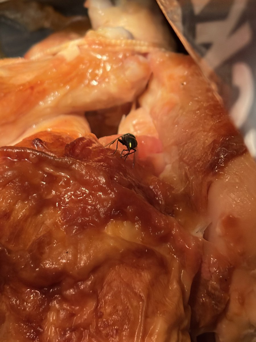 lyssaraae's tweet photo. Yay, nothing like opening your rotisserie chicken for dinner and seeing this. @Costco 🪰 https://t.co/5zA0YBNgZq
