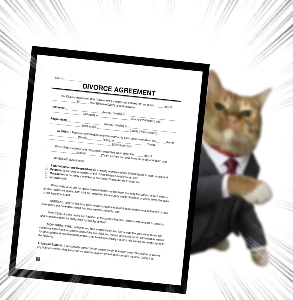 Throwing Things Daily tweet media