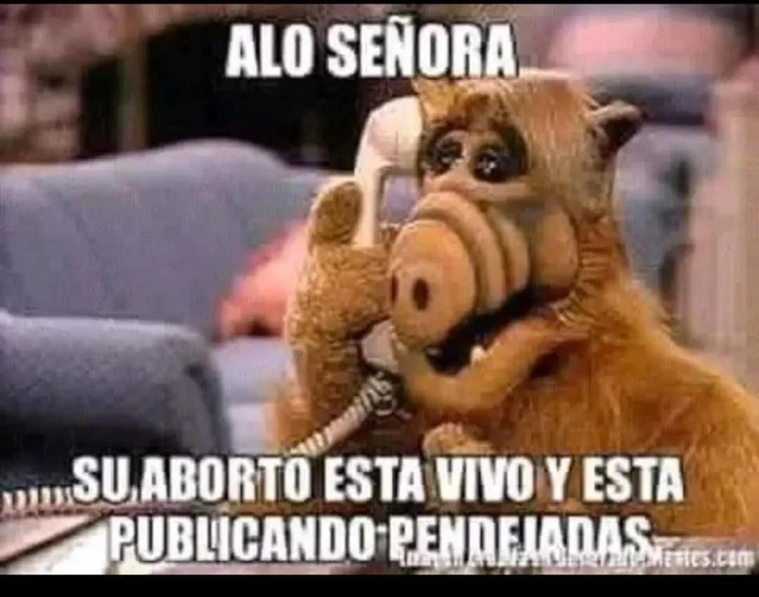 Fernando Barron Ibarra tweet media