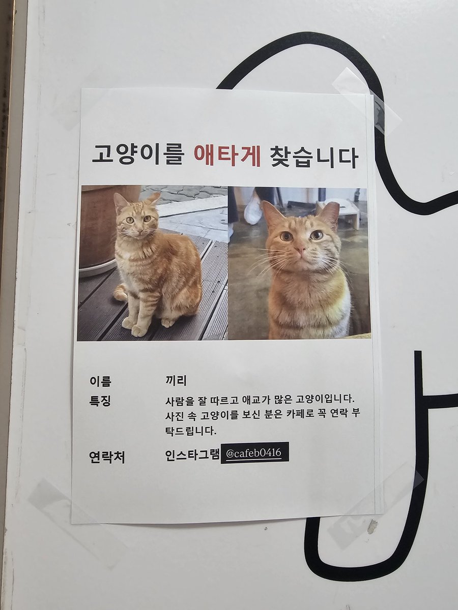 하나와애옹 tweet media