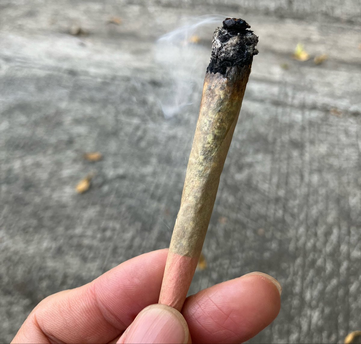 lovebangkoktai's tweet image. 🇹🇭🚬

出会う人がいて
帰る人がいて
来る人がいて
🇹🇭は大変です👅

大きく変わるChanceですわ|(￣3￣)|

昨日もチューチューヘンプさんでした
あの安い価格で高クオリティは⭕️ 
居場所も⭕️お店も明るくて買いやすい⭕️
そりゃ人が来ますよね😆

#タイ #cannabis #weed #grow #大麻
#CHOOCHOOHEMP