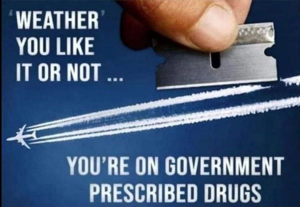 Aran DeFilippis tweet media