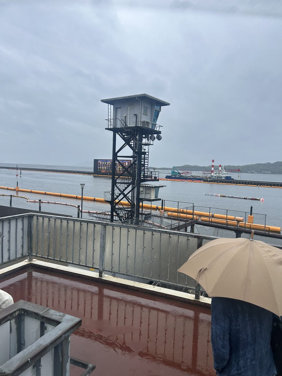 ハマダイ tweet media