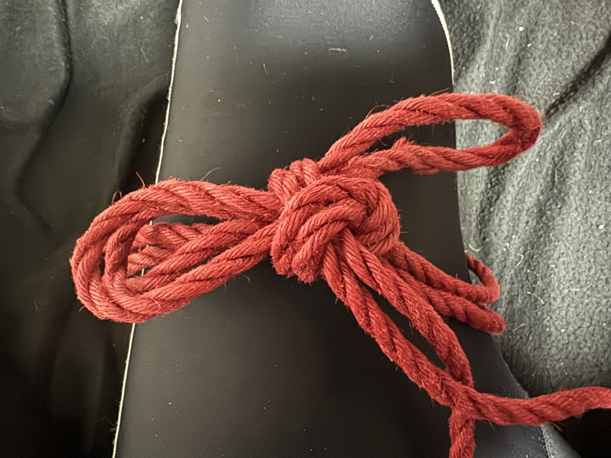 enjoyRope's tweet image. Self-Rope: @enjoyRope
Photographer: @enjoyRope
Community: #SelfTraining
Venue: #Home

#十文字結び
#自縛
#朝練
#セルフトレーニング
#EnjoysLehrundWanderjahre