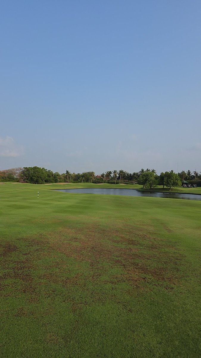 Daddy_p88's tweet image. Getaway #escape #golf #funlifebalance #thaicountryclub #underpar