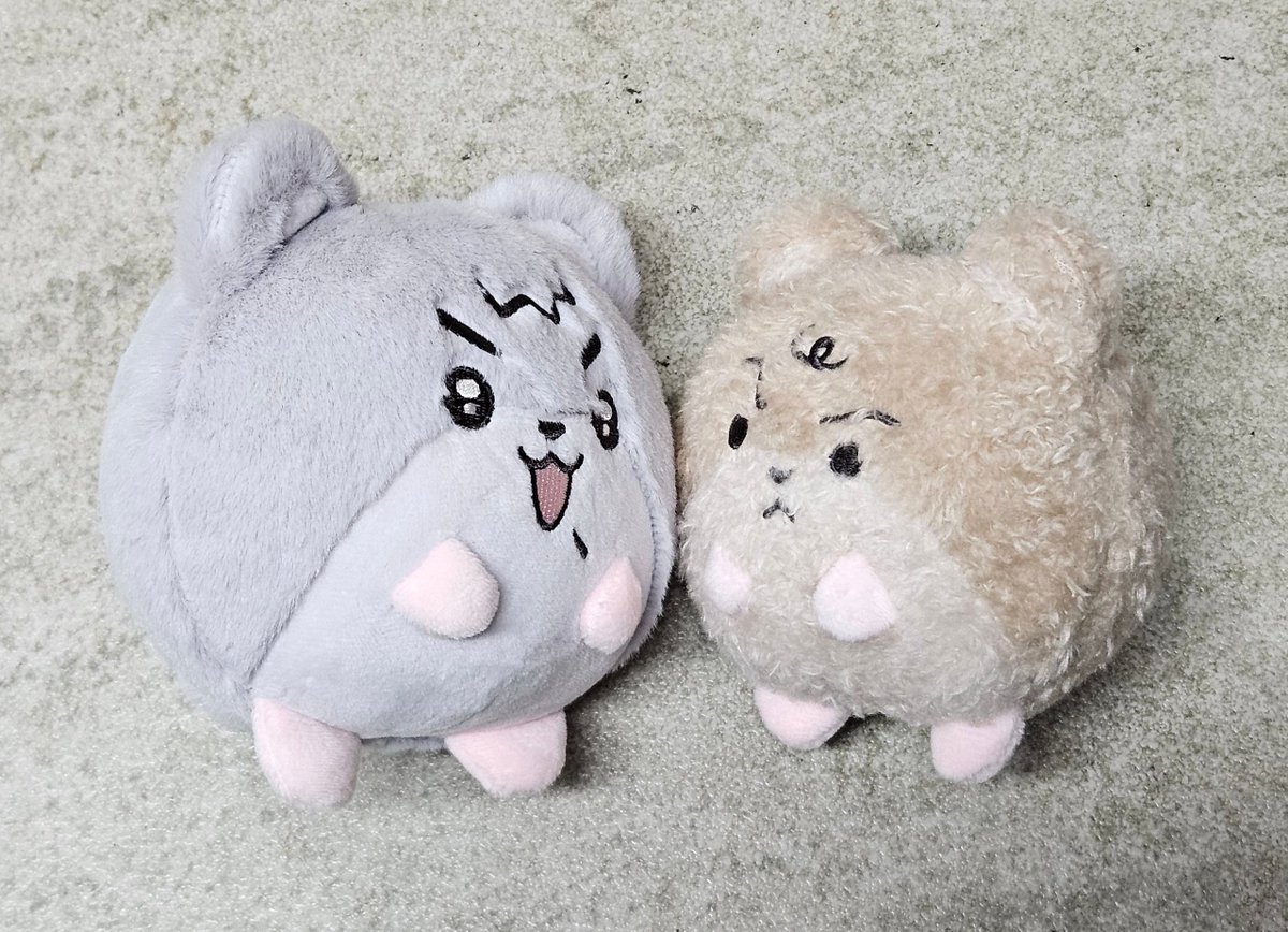 꽉 쥐고싶은 비주얼
딱딱하고 보들보들
햄만햄섭 키우시는분들은 무슨말인지 아시죠?^^
둘다 땅땅한데 햄만이에 비해 햄섭이가 좀 더 말랑한것이 너무...너무....우뜨쾌......감동되.....😭