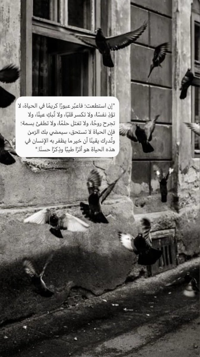 𝔷𝓸𝔷𝓸 𐙚 ᥫ᭡ tweet media