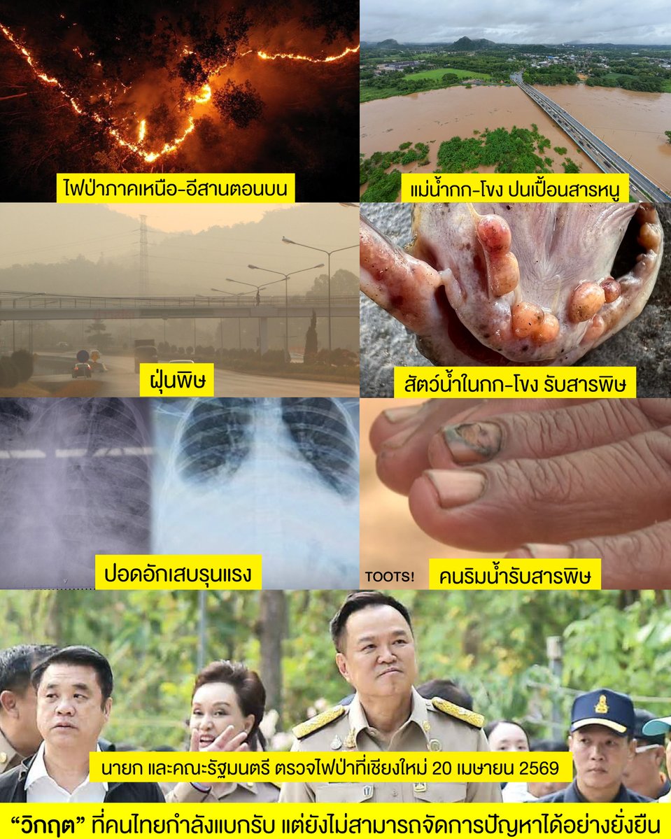 TOOTSYREVIEW tweet media