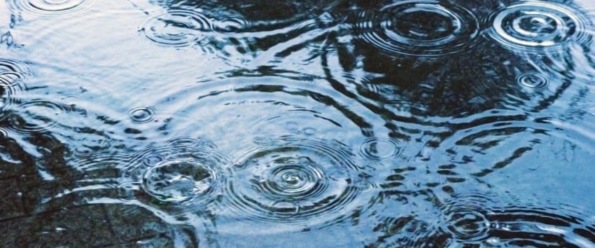 スナック光 tweet media