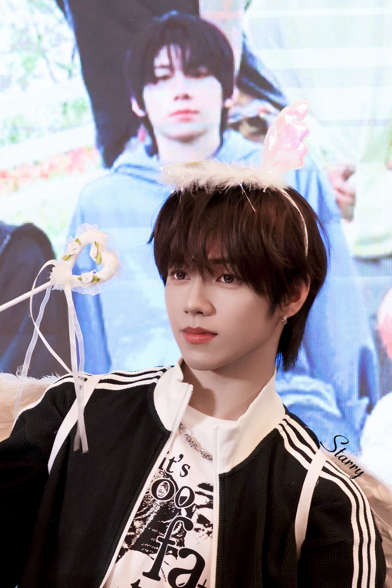 starryence tweet media