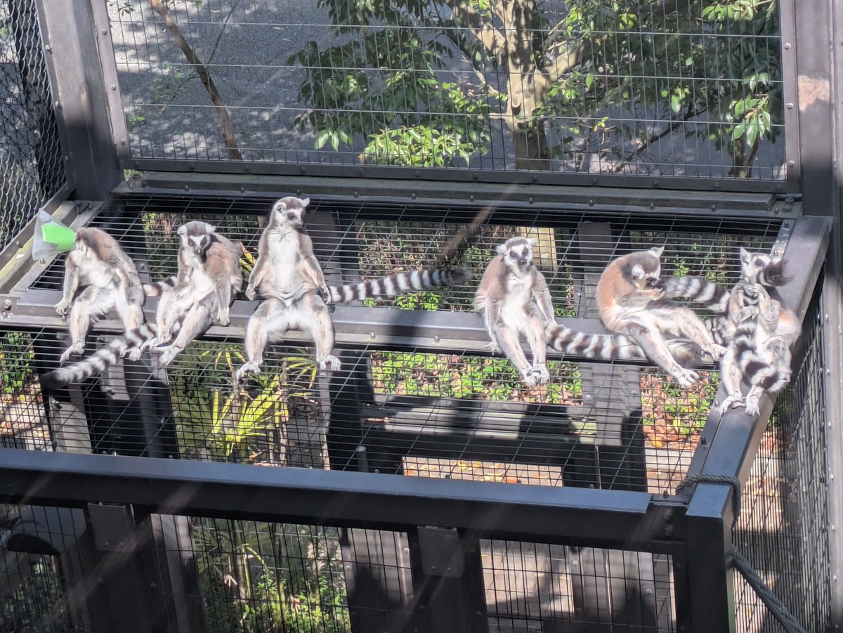 到津の森公園 tweet media