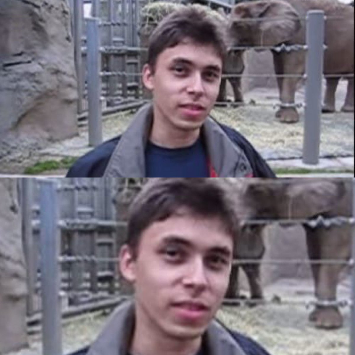 Hace exactamente 21 años.

El primer video de YouTube, titulado "Me at the zoo", fue subido el 23 de abril de 2005.