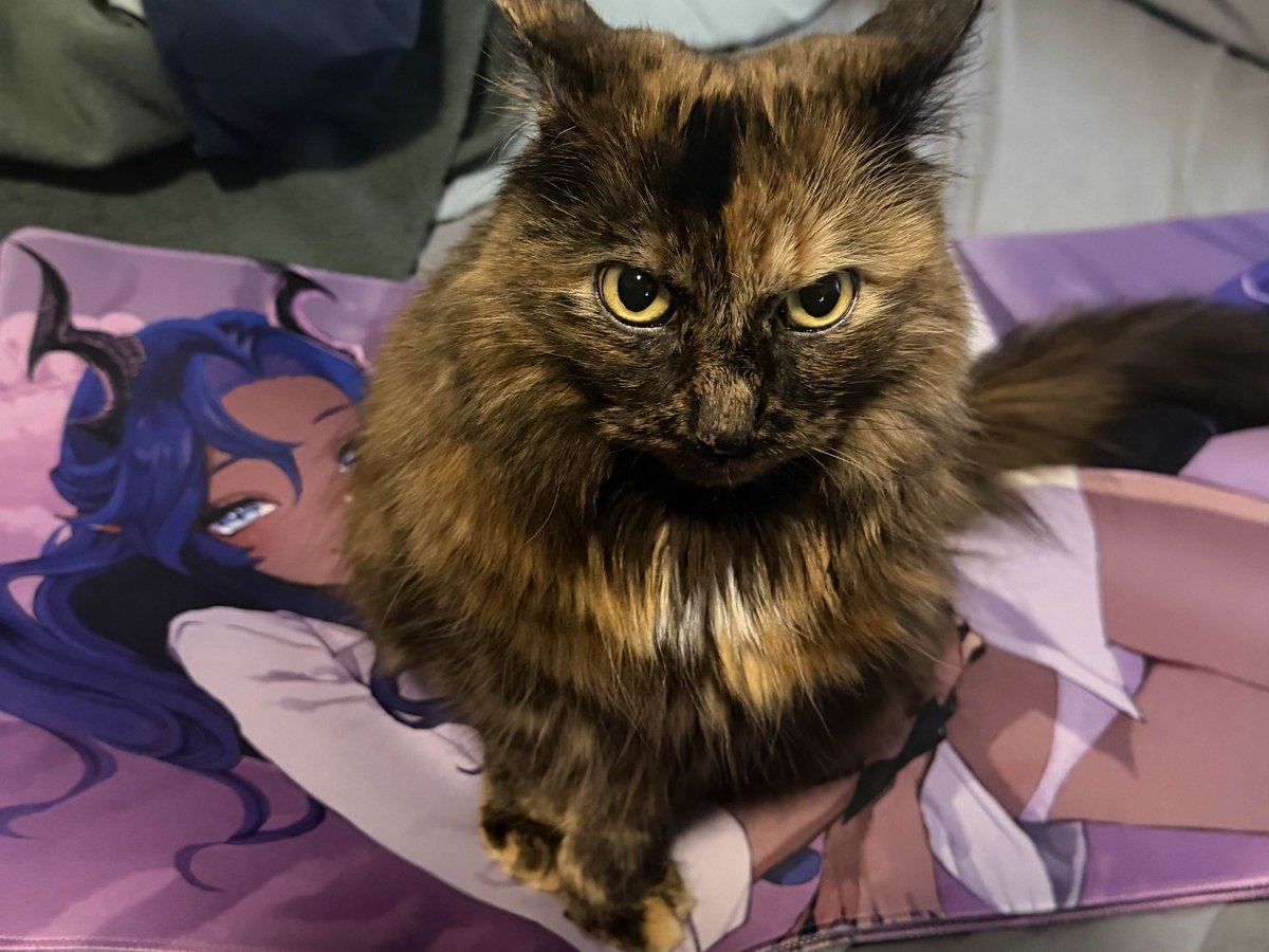 Euryale Drift 🛟🪢【PROMISU EN】 tweet media