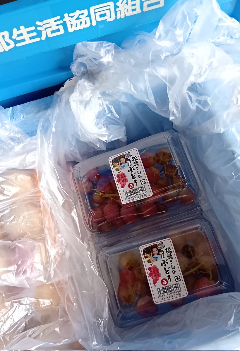 okirakuwasako's tweet photo. @BudouFarms 届きました〜！注文から長かった〜！
で、早速パクリ（＾＿＾）
めっちゃ甘いし皮も薄くてすんごいおいしいです！

お手伝いをよくされるかわいい娘さんと、後輪をウィリーさせてバギーを乗り回すおちゃめなご主人との素敵なご家族のぶどう農園、遠くから応援しています🇦🇺🍇🇯🇵 https://t.co/XwhbJ5elec