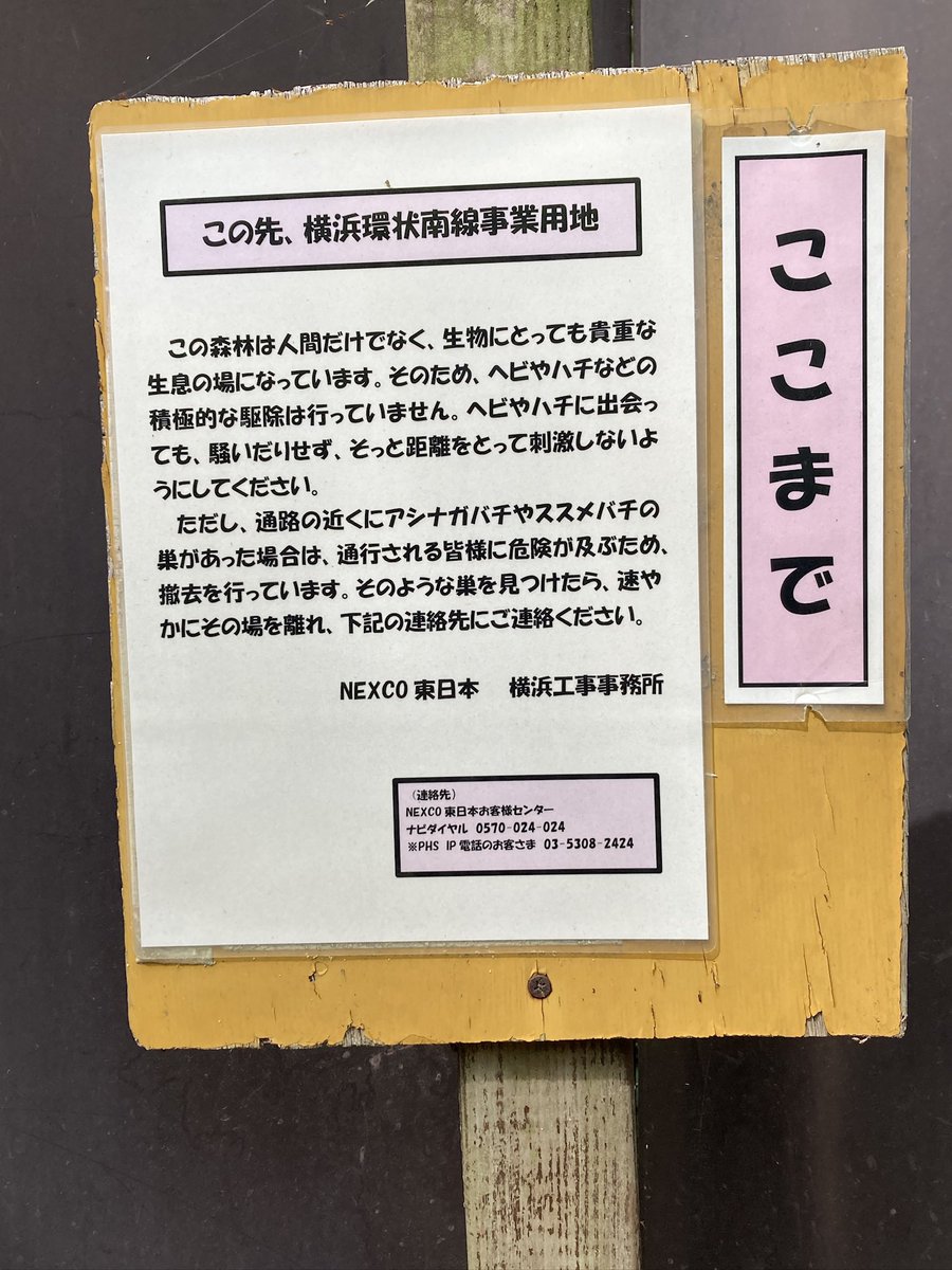 luteymd's tweet photo. コース
金沢動物園シダの森
���高速道路工事現場
→ひょうたん池
→大丸山山頂

☆階段には手すりがあるけど毛虫に注意 https://t.co/qDIF5rJpZN