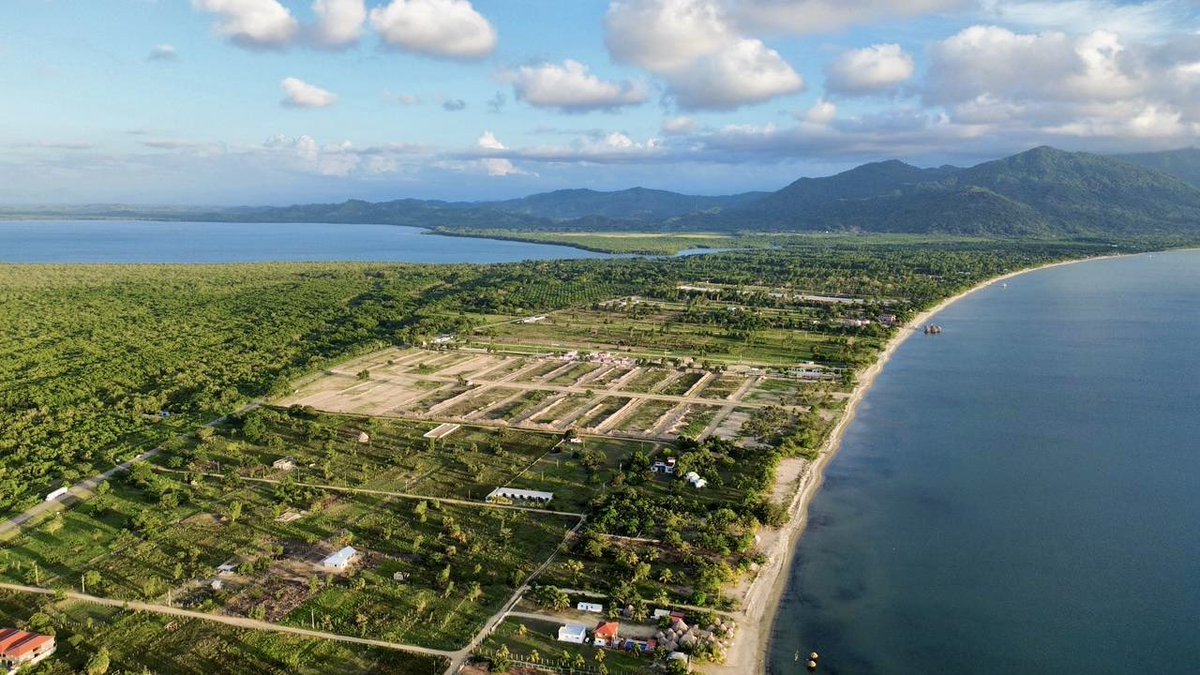 Jorge Aldana tweet media