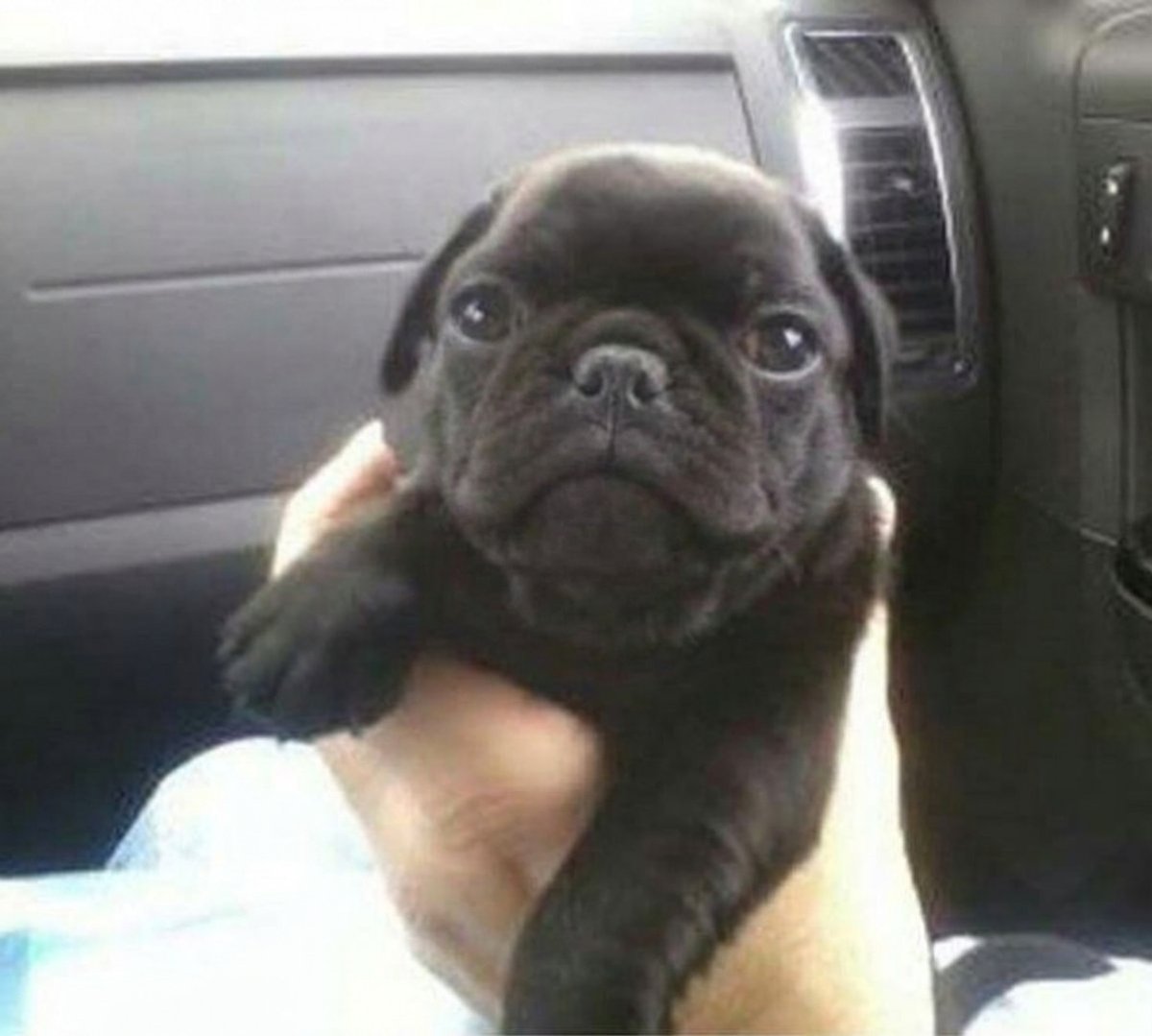 me bored tweet media