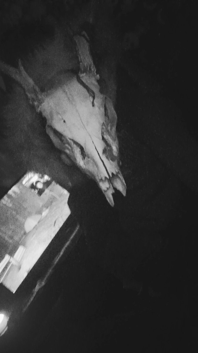 ✧𓆩Corvin𓆪✧ tweet media