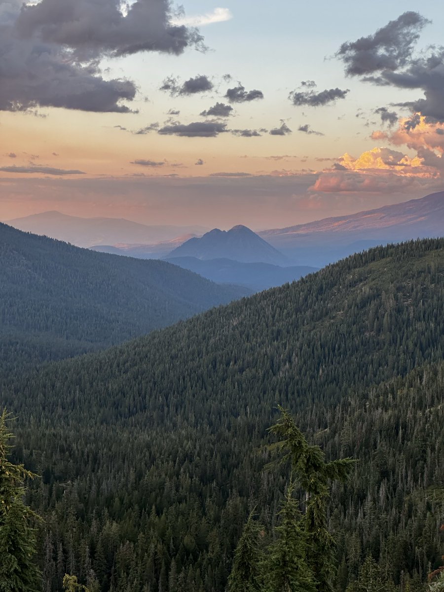 Duke Delarosa 🇹🇹 tweet media