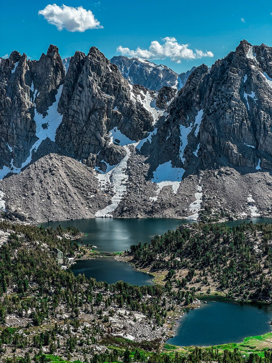 Duke Delarosa 🇹🇹 tweet media