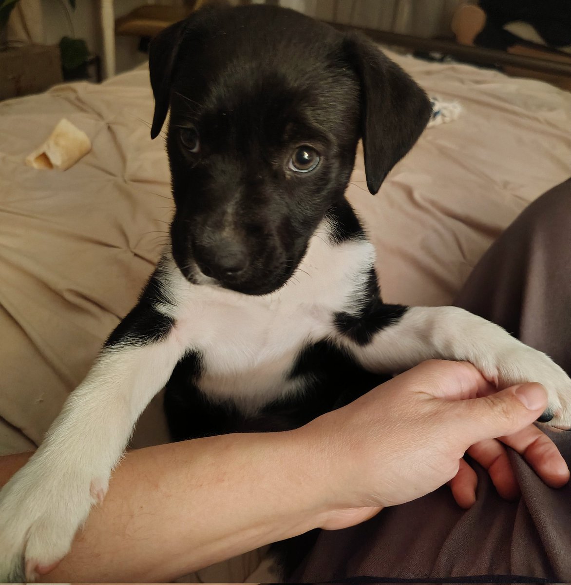 Whale Psychiatrist ™️ tweet media