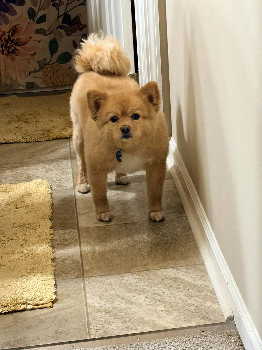 Debbie Wheeler tweet media