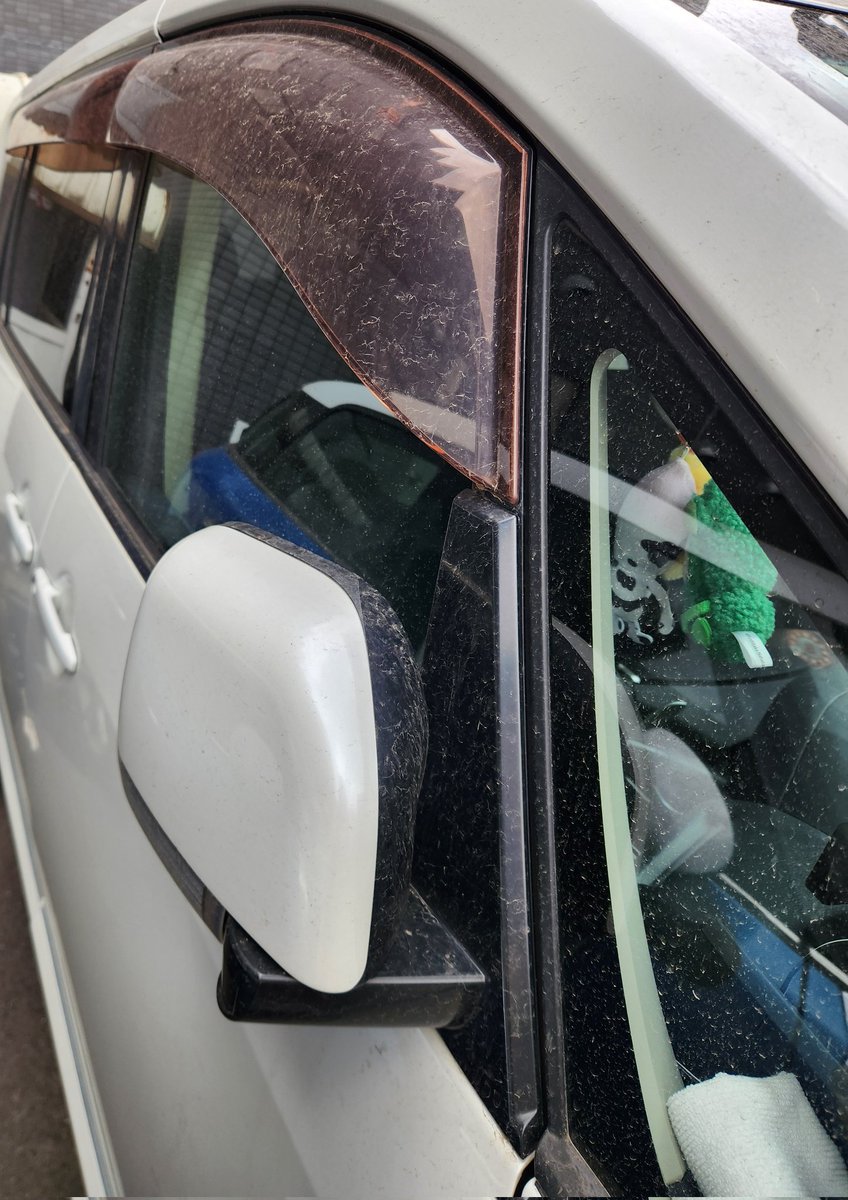 sam0ad2's tweet photo. 車がきったねぇ…

あと、ここ数日ずーっとイライラしてるので誰か私に麻酔銃を… https://t.co/JZijDRvBBv